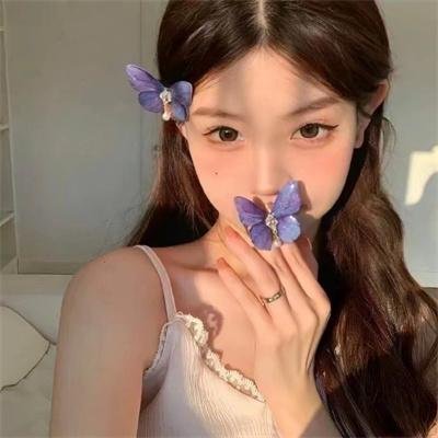 双面骗子虚假警察第二季
